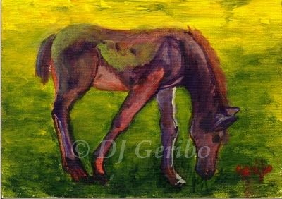 Painted Pony - Daily Painting Animals by artist DJ Geribo